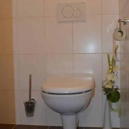 Haus Trausner הלשטאדט